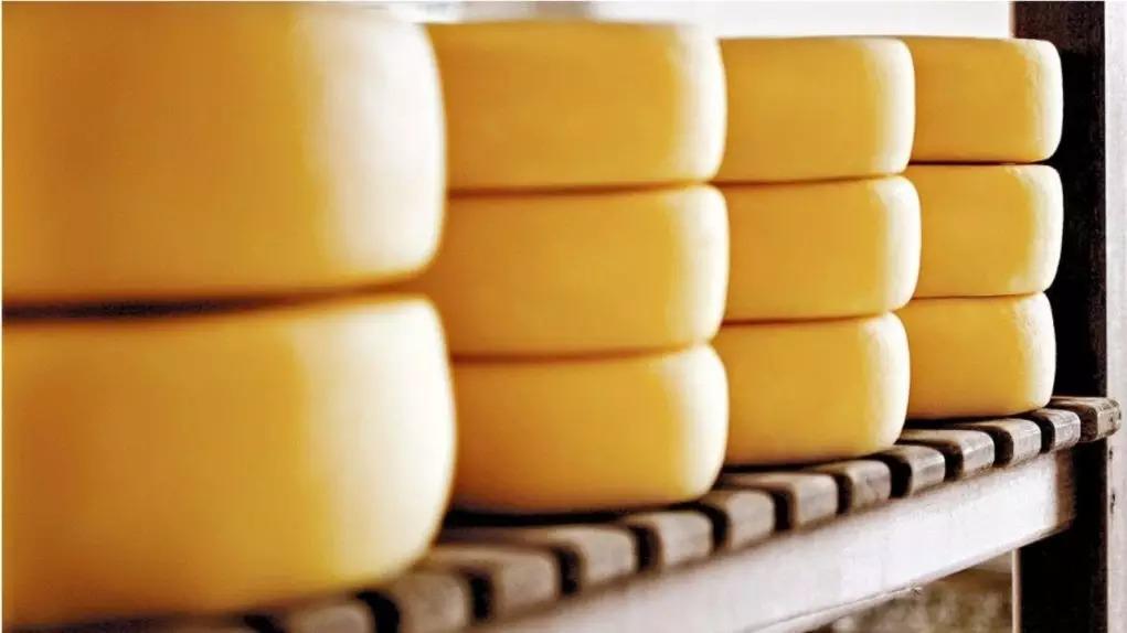 Gigante do leite vai inaugurar maior fábrica de queijos do Brasil em São Jorge D'Oeste